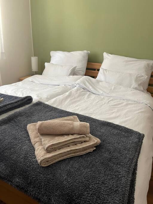באנסקה ביסטריצה Priestranny 3 Izb. Apartman V Centre S Parkovanim. מראה חיצוני תמונה