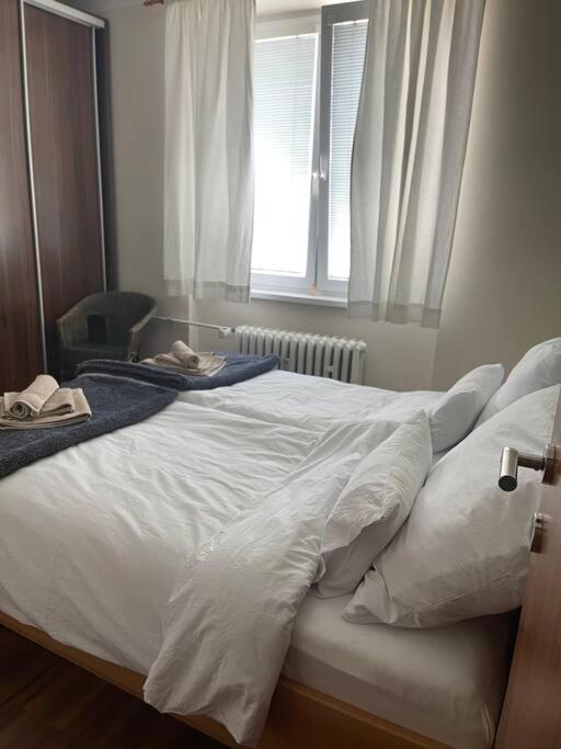 באנסקה ביסטריצה Priestranny 3 Izb. Apartman V Centre S Parkovanim. מראה חיצוני תמונה
